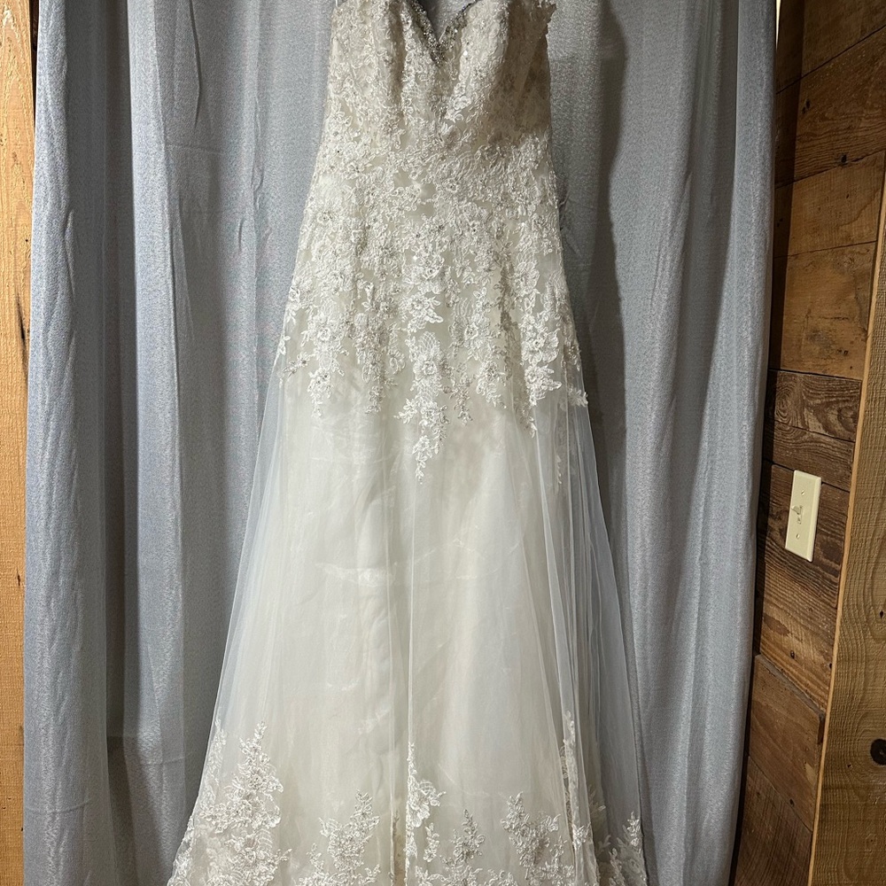 Stunning Lace Bridal Gown